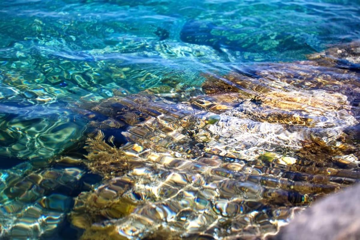 Seaview Luxury Villa Jacuzzi & Pool! 2 Min Beach Protaras Dış mekan fotoğraf
